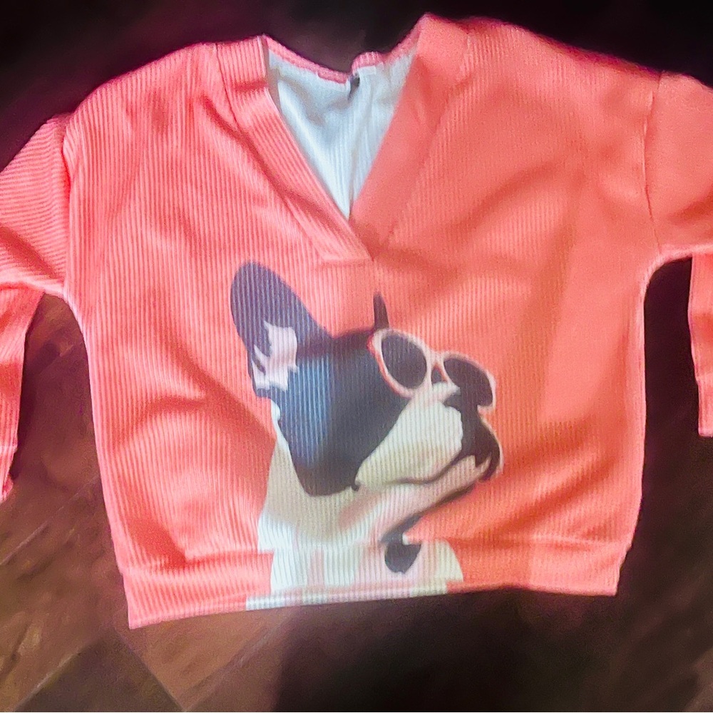Trendy Coral V-Neck Sweater with Dog Print